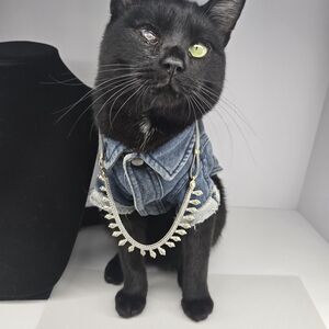 Elegant Silver and Gold Women's Necklace